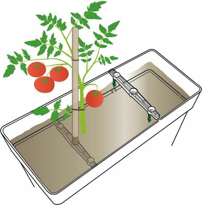 Immagine prodotto Deroma Vaso di fiori
