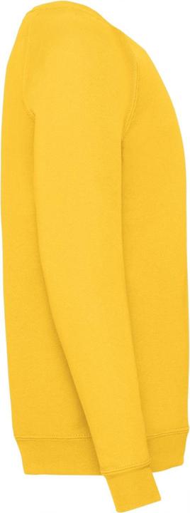 Image du produit Fruit of the Loom - Sweat CLASSIC - Enfant (116)