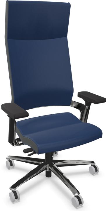 Leder Premium Königsblau, Poliert