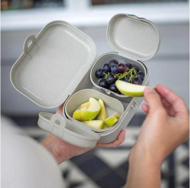 Produktbild Koziol Lunchbox Pascal Ready Mini