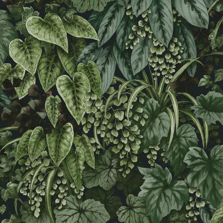 Holden Décor Outside In Living Wallpaper
