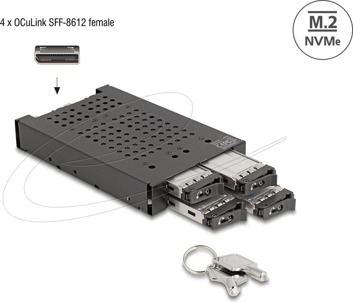 Actual product image Delock 3.5? Removable rack for 4 x M.2 NVMe SSD with OcuLink S