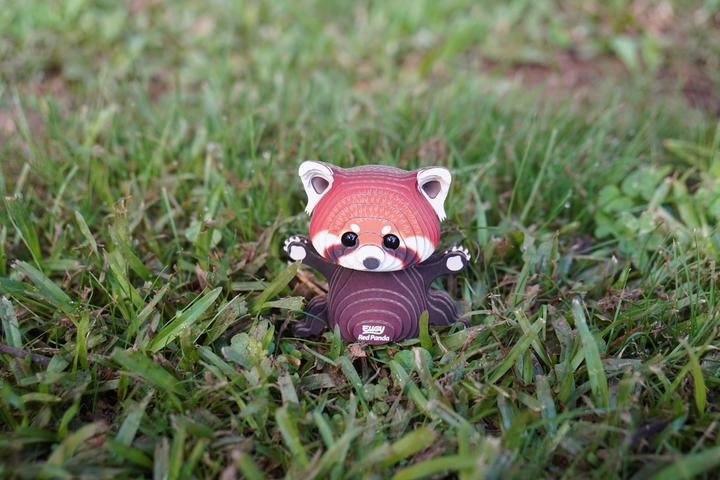 Actual product image Eugy 3D Bastelset Roter Panda