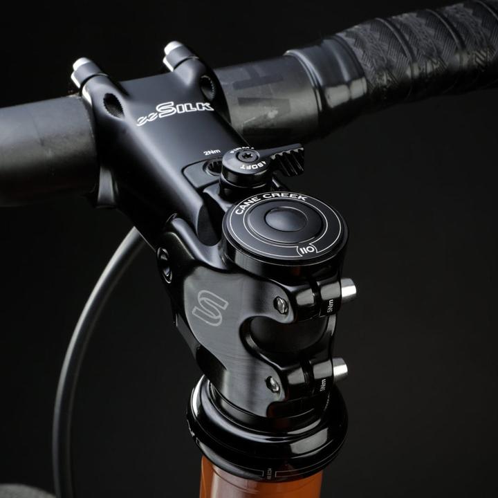 Actual product image Cane Creek eeSilk (100 mm, 31.80 mm)