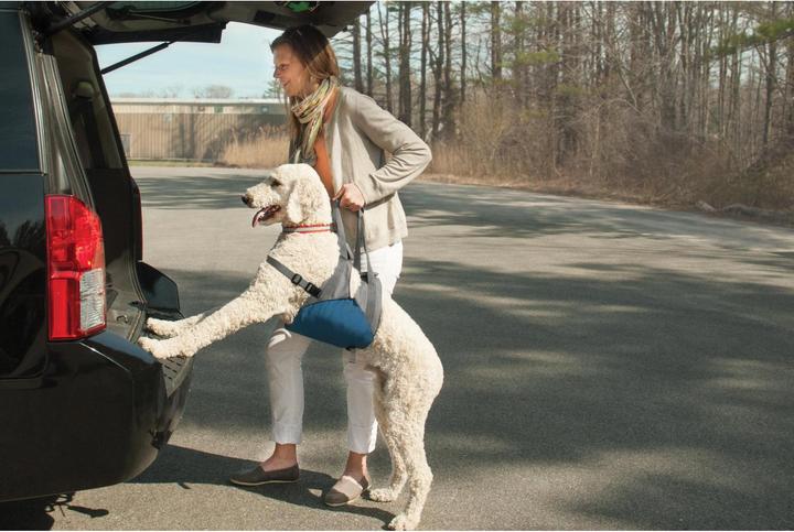 Actual product image Kurgo Up and About lifting harness (Dog)