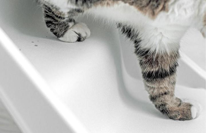 Image du produit Litter-Robot 4 Rampe, blanche