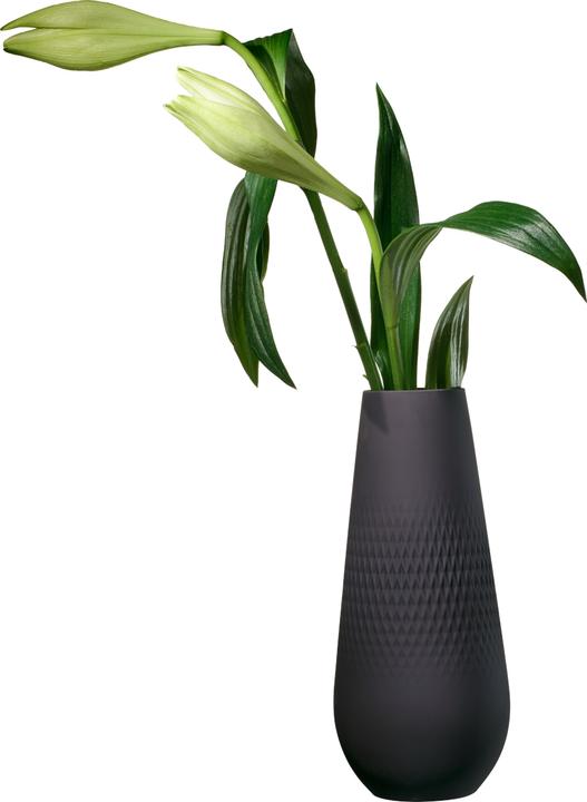 Immagine prodotto Villeroy & Boch collana noir (1 x, 11,5 x 11,5 x 26 cm, 1.50 l)