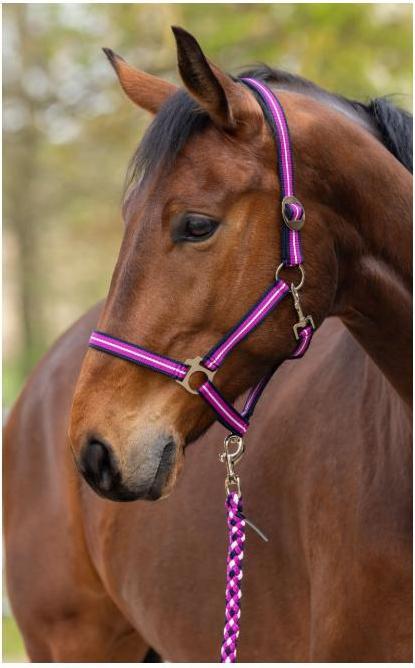 Immagine prodotto Covalliero Halfter Hippo FS 2026