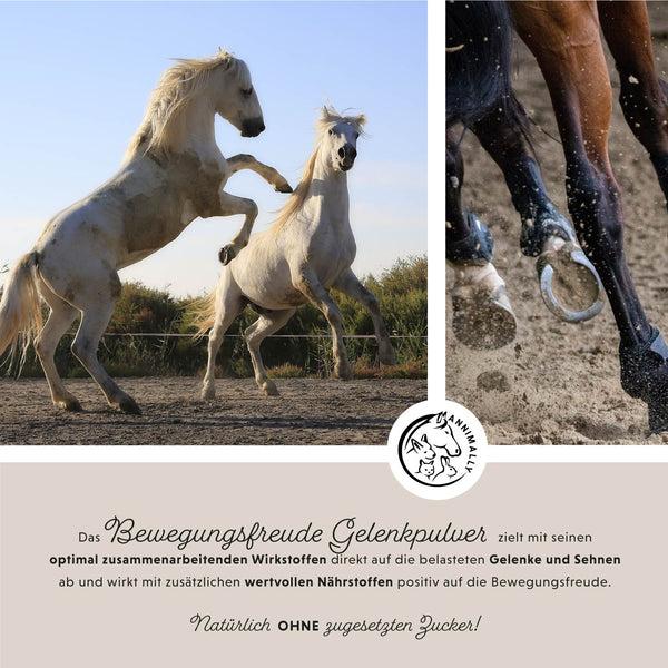 Produktbild Annimally Muskelpower Pulver - Nachfüllpackung (1 x, 2000 g)