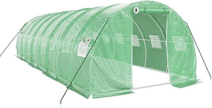 Actual product image vidaXL Gewächshaus