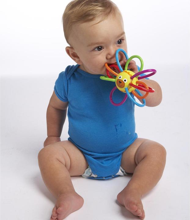 Image du produit Manhattan Toy Angle Lion