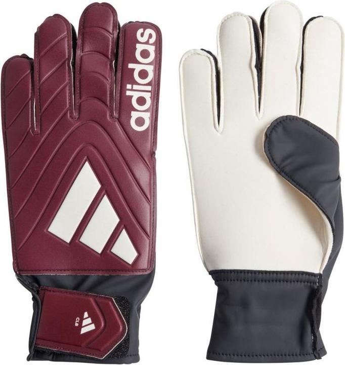 Produktbild Adidas Copa Club Torwarthandschuhe (10.5)
