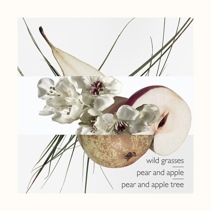 Produktbild Hermès Un Jardin sur le Toit (Eau de Toilette, 50 ml)