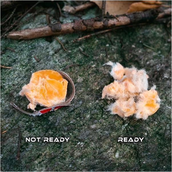 Produktbild Procamptek Fast Fire Stick