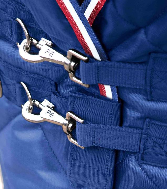 Produktbild Premier Equine 100g (221 cm)