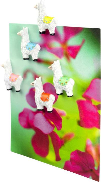 Image du produit Trendform Lama (5 x)