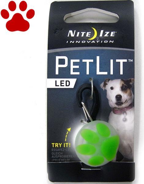 Collar + Leashes
