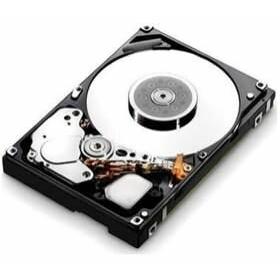 IBM 500GB 7.2K 2.5 NL HDD (0.50 TB, 2.5"), Festplatte