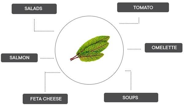 Image du produit Véritable Lingot Pensée BIO (Graines d'herbes aromatiques)