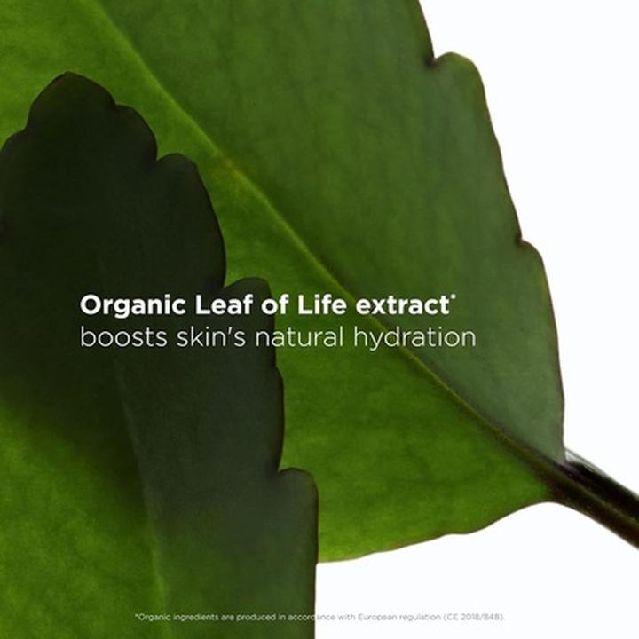 Immagine prodotto Clarins Scrub fresco (re) (Scrub detergente, 50 ml)