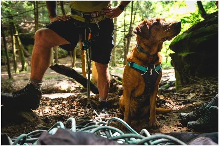 Produktbild Ruffwear Flagline Hundegeschirr (L, XL, Hund, Allgemein)