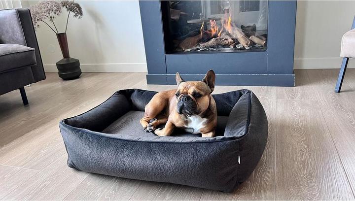 Image du produit Laboni Classic Buffalo (Chien)