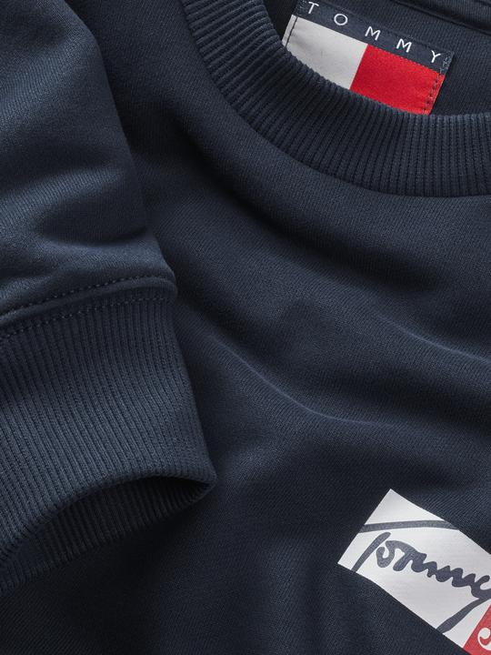 Produktbild Tommy Jeans TJM Regular Entry Graphic Crew Sweatshirt (XXL)