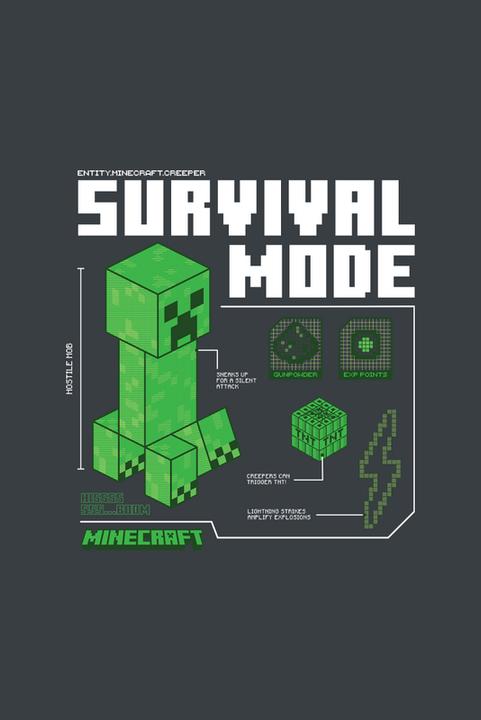 Produktbild Heroes Inc Minecraft T-Shirt Survival Grösse S (S)