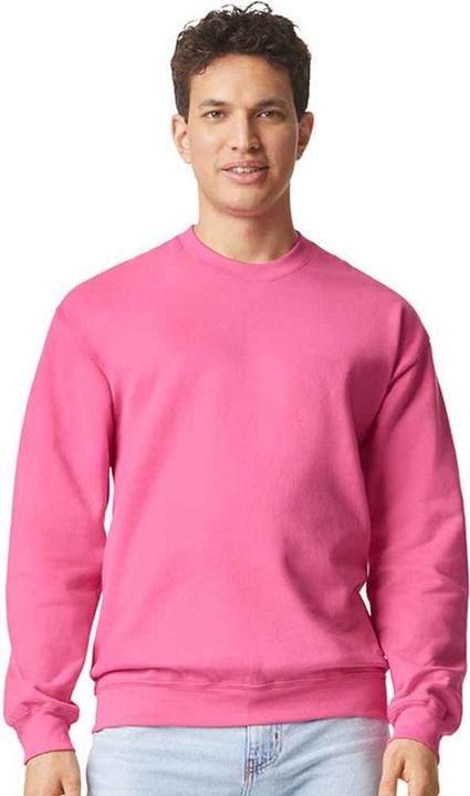 Image du produit Gildan - Sweat SOFT STYLE - Homme (M)