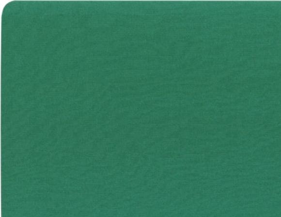 Image du produit InLine Tapis de souris vert 250x220x6mm (S)