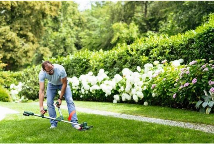 Image du produit Bosch Home & Garden UniversalGrassCut 18V-26 (Fils coupe-herbe)