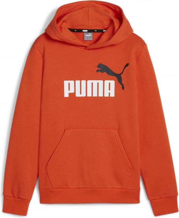 Actual product image Puma ESS+ 2 Col Big Logo Hoodie FL B (140)