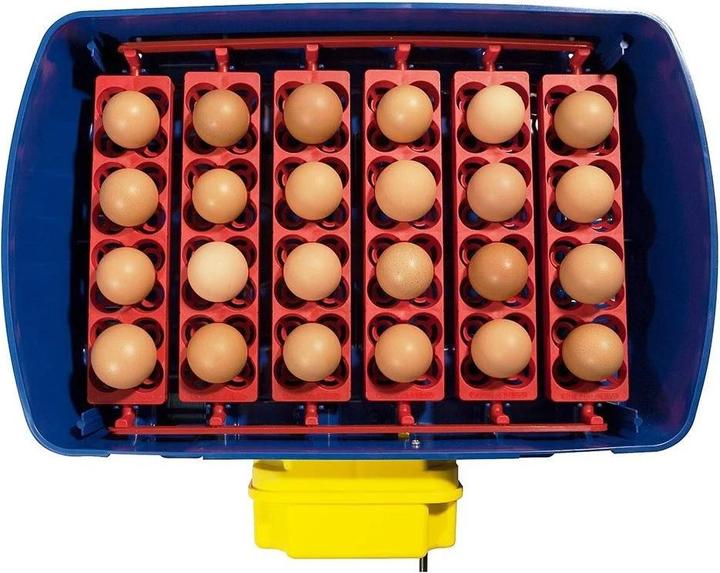 Actual product image Borotto Real 2 automatic incubator