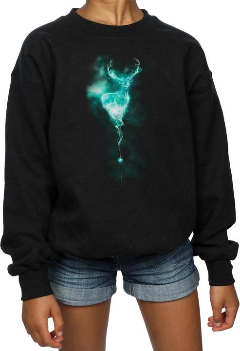 Image du produit - Sweat STAG PATRONUS MIST - Fille (116)