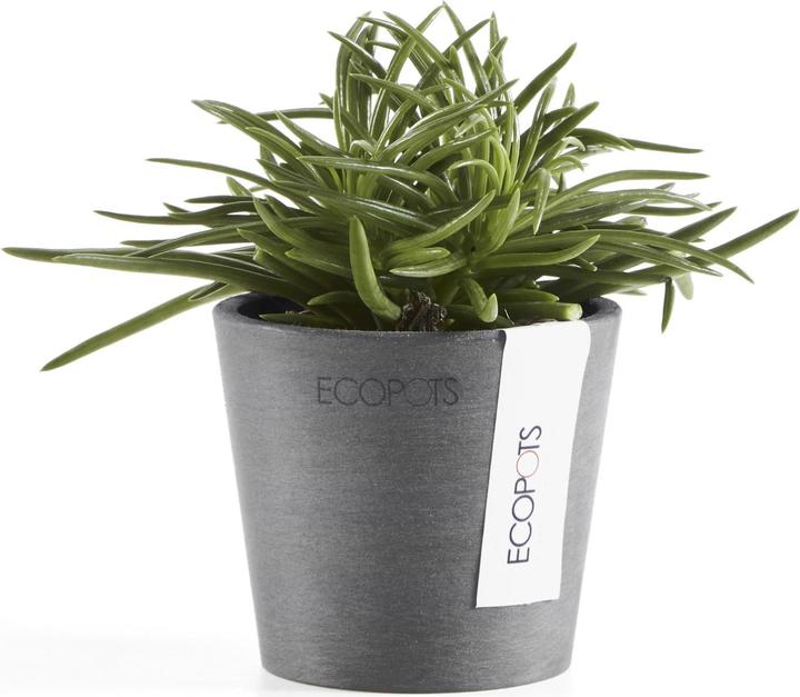 Produktbild Ecopots Amsterdam Mini (8 cm)
