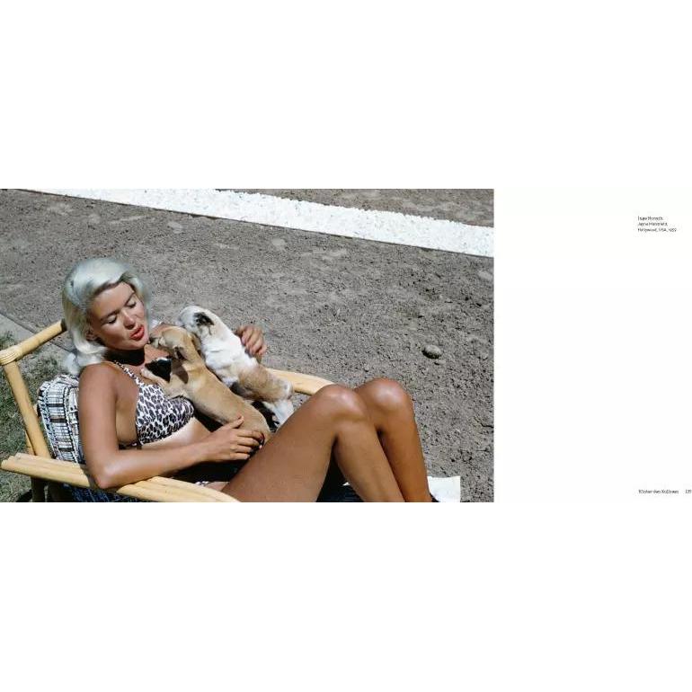 Thumbnail - Hunde, Ratgeber von Magnum Photos, Susanne Philippi