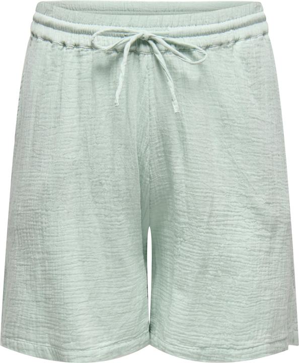 Produktbild Only CARTHYRA Hohe Taille Normal geschnitten Shorts Shorts (46)