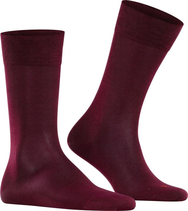 Barolo