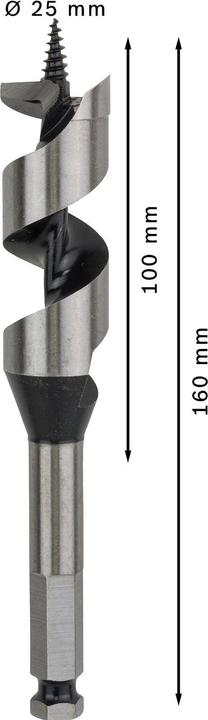 Actual product image Bosch Professional Zubehör PRO Wood Wood auger bit, 25 x 100 x 160 mm (25 mm)
