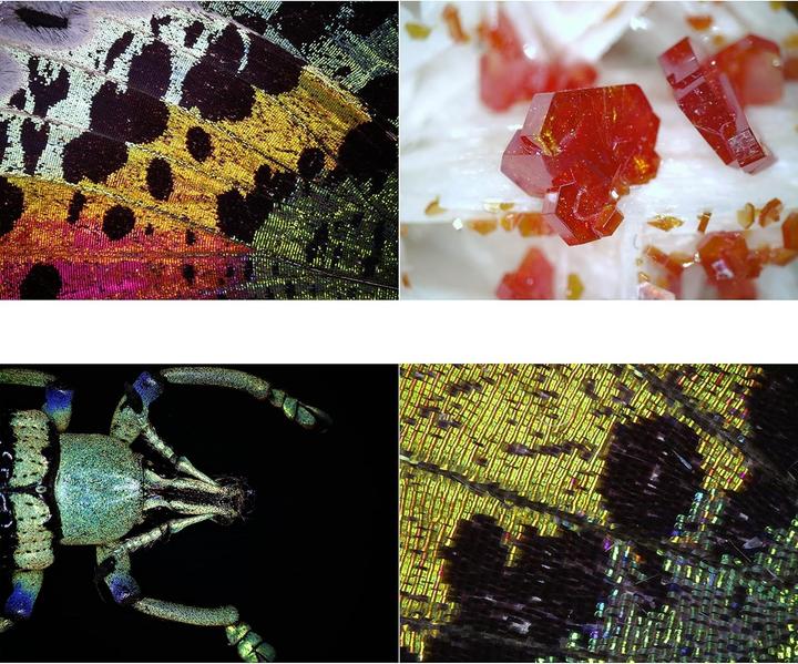 Image du produit Bresser Microscope numérique USB