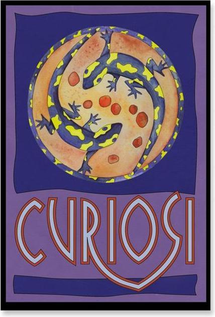 Actual product image Curiosi Picolo Puzzle Pico "Salamander (33 pieces)