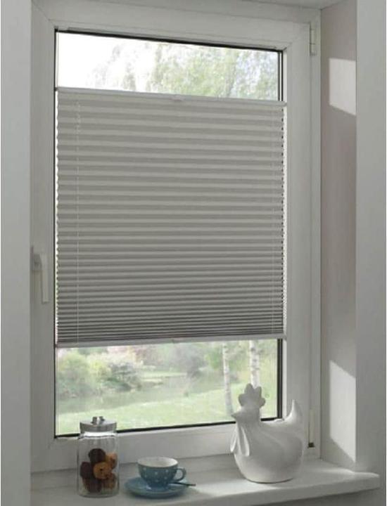 Produktbild Gardinia Plissee Concept Tageslicht (80 x 130 cm)