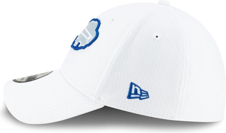 Actual product image New Era 39Thirty Stretchfit NFL Platinum Sideline (S, M)