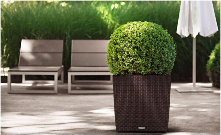 Image du produit Lechuza Cube Cottage (40 cm)