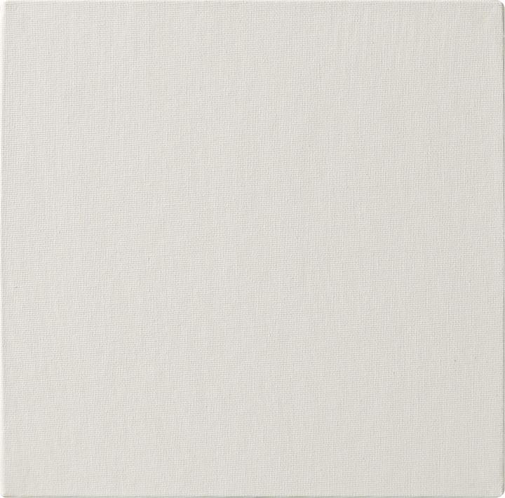 Image du produit Clairefontaine Techniques humides (660 x)