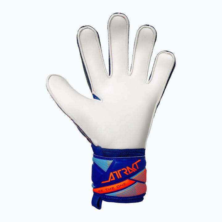 Produktbild Reusch Attrakt Solid (8)