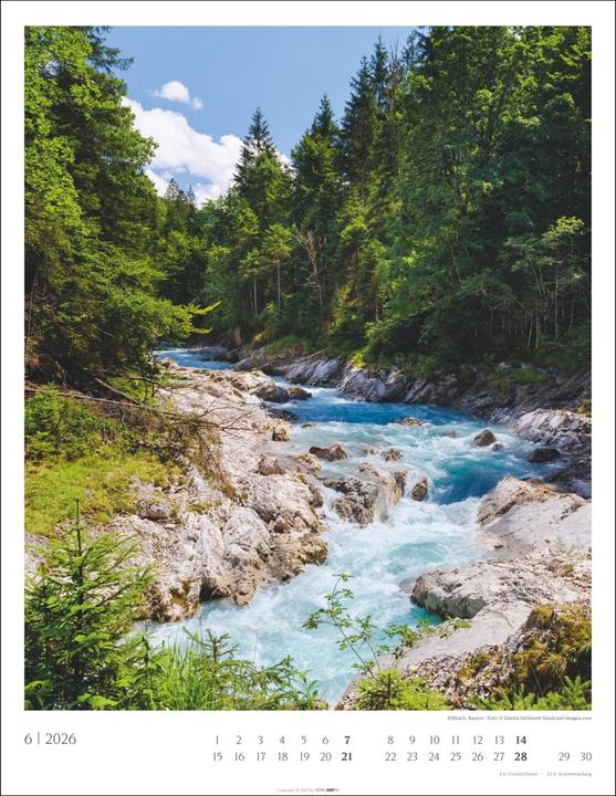 Produktbild Heimische Wälder Kalender 2026 (34 x 44 cm, Harter Einband, Deutsch)