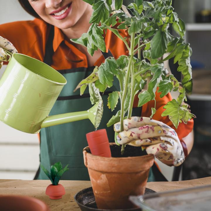 Actual product image Relaxdays 4x clay cone (Clay cone)