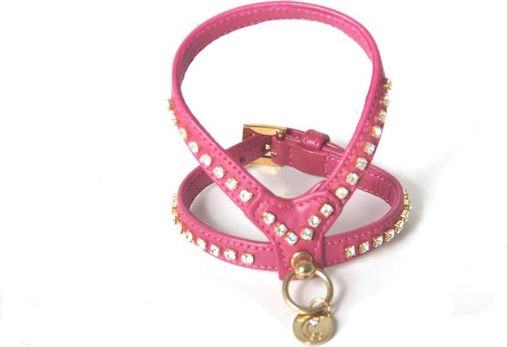 Produktbild Carlain AGN Strass (Hund, Spazieren)