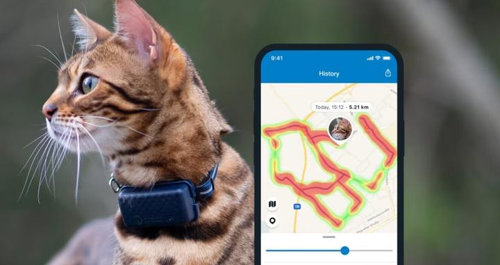 Image du produit Tractive CAT Mini tracker GPS pour chats (Chat, Général)